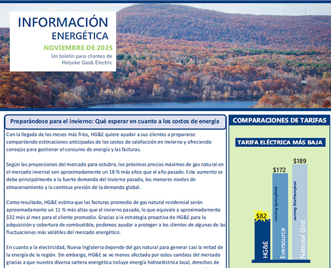 NOVEMBER Newsletter - Spanish version